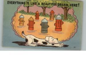 Dog Dreams of Fire Hydrants Comic Postcard