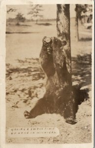 RPPC Bear Drinking From Can or Bottle Michigan 1937 to Nebraska Postcard U12