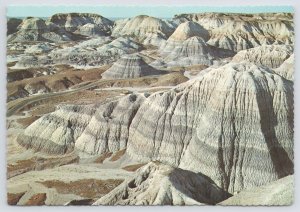 Petrified Forest National Park Arizona~Blue Mesa Badlands~Continental Postcard