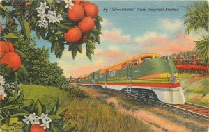 Postcard Streamliner railroad train Florida Oranges Teich linen 23-7933