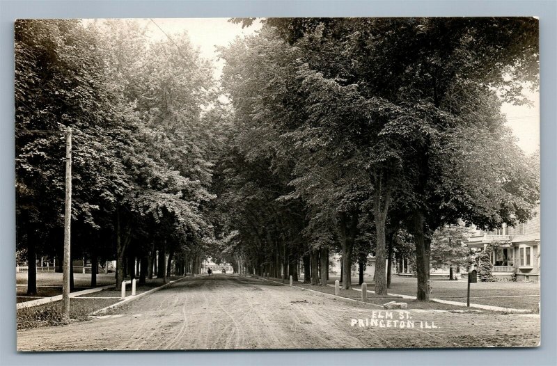 PRINCETON IL ELM STREET ANTIQUE REAL PHOTO POSTCARD RPPC