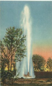 Largest Artesian Well In The World, Oasis Ranch, Roswell, NM Vintage Postcard