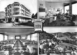 BG30459 esplanade hotel lourdes car oiture france   CPSM 14.5x10cm