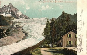 Vintage Postcard Le Glacier De Bossons Chamonix France