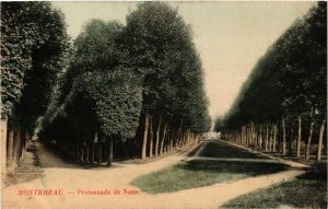 CPA MONTEREAU - Promenade de Noue (292888)