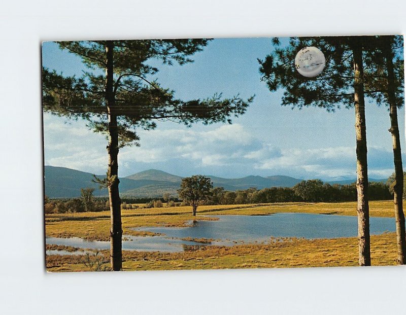 Postcard Looking toward the White Mountain range from the Saco River Valley, ME