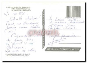 Modern Postcard In the shade of flaming