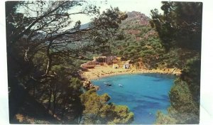 Vintage Postcard Costa Brava Playa de  Aigua Blava Through the Pine Trees