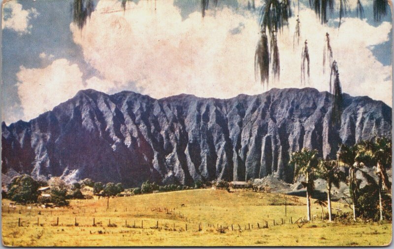 Hawaii Hawaiian Cliffs Near Honolulu Island of Oahu Vintage Postcard C179