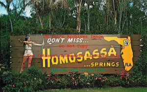 FL, Homosassa Springs, Florida, Living Signboard, Billboard, Native American