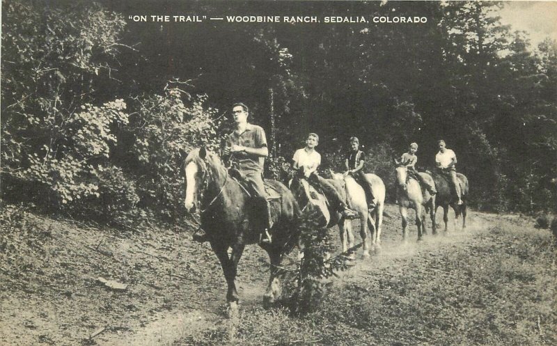 Postcard Colorado Sedalia Woodbine Ranch Artvue Equestrian horses 23-7601