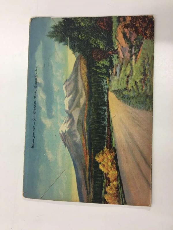 Northern Arizona Scenic View Souvenir Folder Antique Postcard K92221