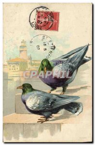 Postcard Old Pigeon Dove