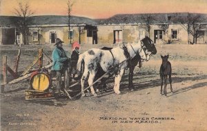 Fred Harvey,Hand-Colored No.68,Mexican Water Carrier in NM, Minty,Old Postcard