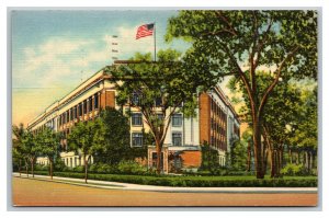 Vintage 1942 Postcard Museum University of Michigan Ann Arbor Michigan