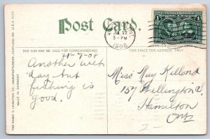 View From Echo Lodge, Thousand Islands New York, Antique 1908 Postcard