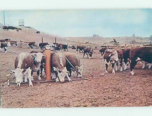 Chrome FARM SCENE Amarillo Texas TX AG2267