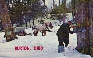 Ohio Burton