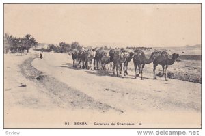 Biskra Province, Algeria , Caravane de Chameaux , 00-10s