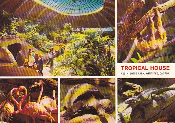 Tropical House Assiniboine Park Zoo Winnipeg Canada