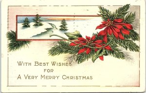 c1915 MERRY CHRISTMAS POINSIETTA SNOW SCENE NEBRASKA EMBOSSED POSTCARD 39-250