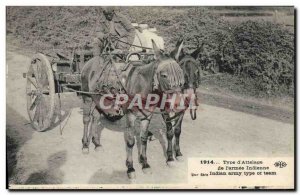 Old Postcard Donkey Mule type & # & # 39attelage of Indian Army 39armee