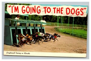 Vintage 1973 Postcard Greyhound Racing in Florida - Dogs Leave Starting Line