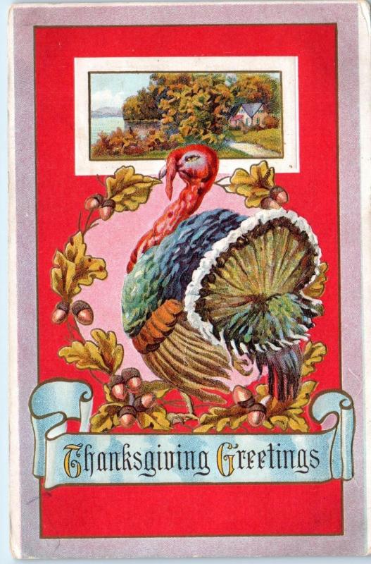 THANKSGIVING GREETING   Postcard  TURKEY & RED Background  c1910s