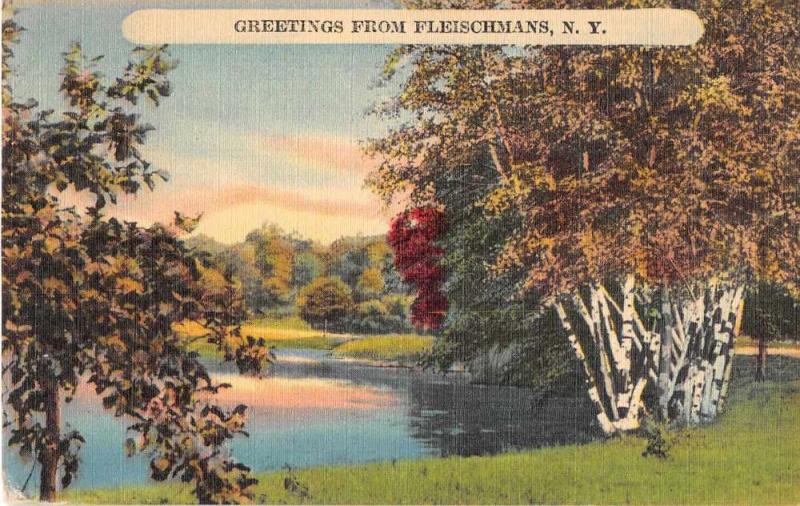 Fleischmans New York Scenic view Greetings Antique Postcard J50484