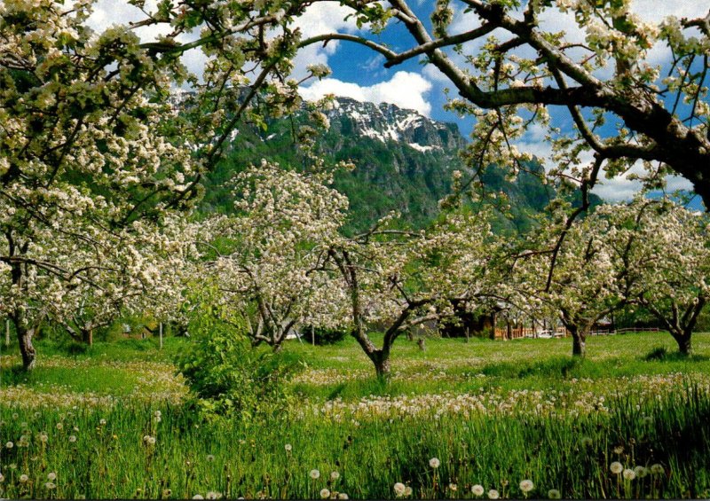 Canada British Columbia Canyon Creston Orchards