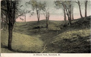 1910 ROCKFORD Illinois Ill Postcard ILLINOIS PARK Scene Trees