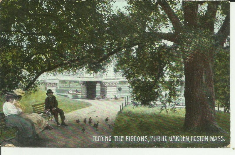 Boston, Mass., Public Garden, Feeding The Pigeons