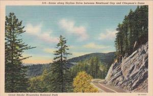 Tennessee Smoky Mountains Skyline Drive Between Newfound Gap and Clingman...