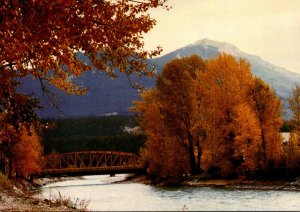 Canada British Columbia Golden Kicking Horse River