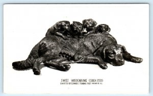 RPPC CHICAGO, IL~ Dog & Puppies EDWARD'S TRADING POST Swiss Woodcarving Postcard