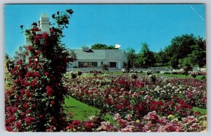 Jackson & Perkins Rose Garden, Newark New York, Vintage Chrome Postcard #1