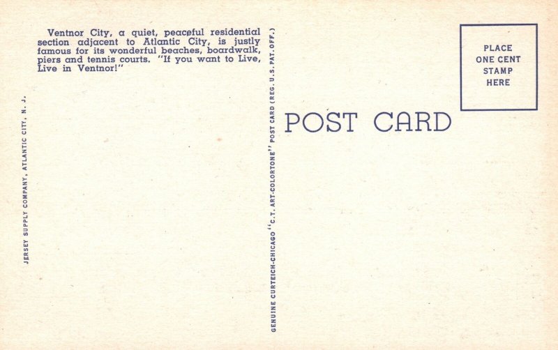 Vintage Postcard View From Ventnor Pier Atlantic City New Jersey Samuel Strauss
