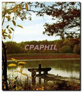 Postcard Modern Sologne A pond in autumn