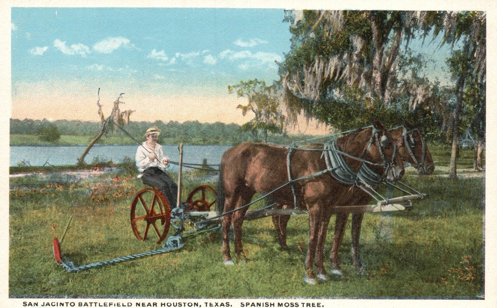 Vintage Postcard San Jacinto Battlefield Spanish Moss Tree Farmer