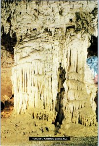 The Organ Waitomo Caves New Zealand Postcard