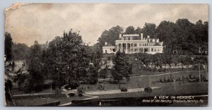 Hershey Chocolate Co PA~A General View In The Town~B&W~c1910 Candy Bar Postcard