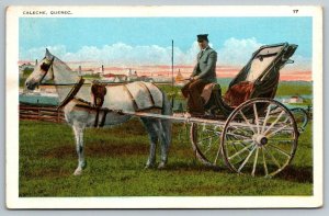 1929  Quebec  Canada  Man with Horse and Buggy   Postcard