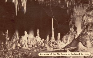 Vintage Postcard 1941 Big Room Corner Carlsbad Caverns National Park New Mexico