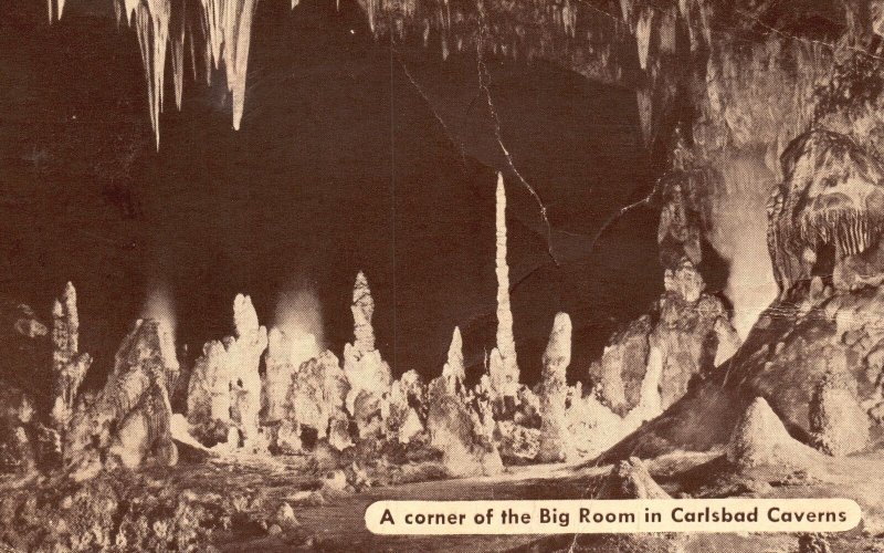 Vintage Postcard 1941 Big Room Corner Carlsbad Caverns National Park New Mexico