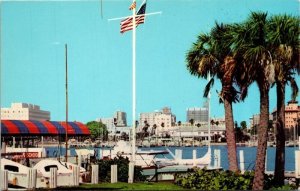 Yacht Harbour St Petersburg Skyline Florida Boats Palm Trees Chrome Postcard