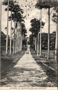 Postcard Barbados Entrance to Codrington College Ladies on the Path ~1910 M48