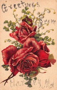 Harvey Maryland Greetings Red Roses Glitter Postcard JF235118