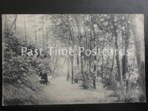 c1915 - Pine Walk, Folkestone - from 10 Richmond Street, Folkstone