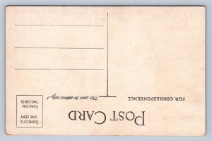 JH6/ Ottawa Ohio Postcard c1910 Putnam County Stand Pipe Water Tower 105