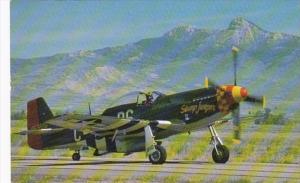 North American P-51-D Fighter Stump Jumper